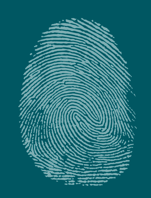 DactyreRecruit Decisiones inteligentes Evaluaciones en tiempo real